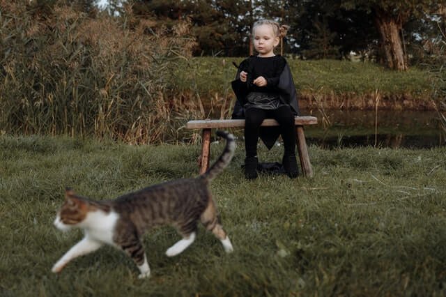 Beba i mačka se igraju
