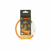Duvo+ Ogrlica za pse, svetleća Usb Nylon 35cm narandžasta