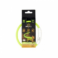 Duvo+ Ogrlica za pse, svetleća Usb Nylon 35Cm zelena