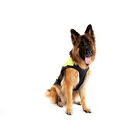 Rogz Rainskin kišno odelo Dayglo 50cm