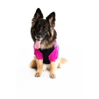 Rogz Polarskin Odelce Pink 50cm