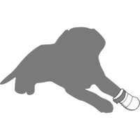 Flamingo Zaštita za šapu - Paw protector L - 1 komad