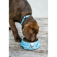 Rogz Činija Bubble Bowlz Puppy M Blue