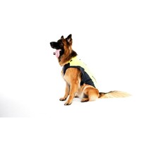 Rogz Rainskin kišno odelo Dayglo 50cm