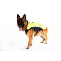 Rogz Rainskin kišno odelo Dayglo 50cm