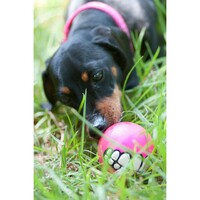 Rogz Grinz Fluroscentna lopta M Pink