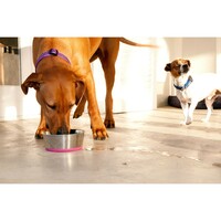 Rogz Slurp Bowlz M Pink