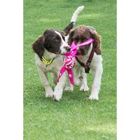 Rogz Cowboyz Pisteci kanap L Pink