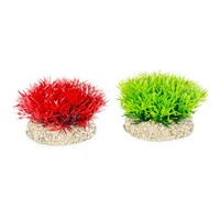 Duvo+ Bilje za akvarijum Crystalwort Moss S - visina 5cm više boja 1kom