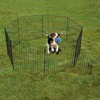 Duvo+ Ograda Puppy Run With Door & Net & Hooks 60X60cm Black