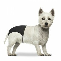 Duvo+ Gaćice za pse S 24-31cm