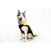 Rogz Rainskin kišno odelo Dayglo 50cm