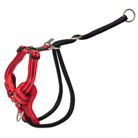 Rogz Utility Stop Pull Tuig Am M Red