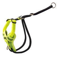 Rogz Utility Stop Pull Tuig Am M Yellow
