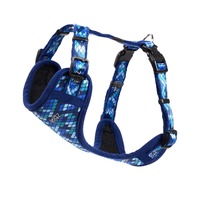 Rogz Fashion Am Amphibian Blue S