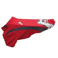 Rogz Teeskin Odelce Red Bones 25cm