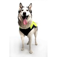 Rogz Rainskin kišno odelo Dayglo 50cm