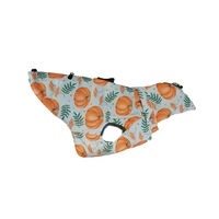 Pet Republic M1 XS