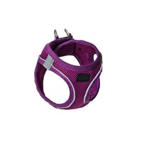 Moksi Purple H Type Am za pse VR05 S