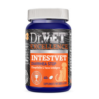 Dr.Vet Intestvet 40tbl
